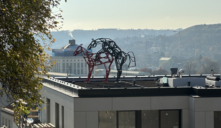 FOTO: Socha Šemíka v říji budí v Podolí vášně. Na střeše domu ale dlouho nezůstane