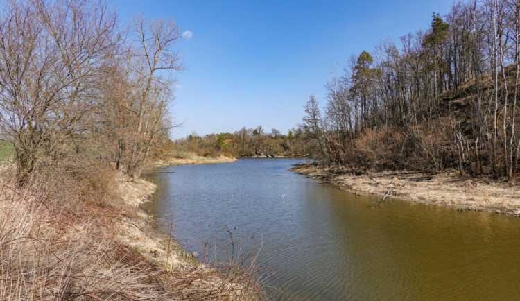 Ilustrační foto. Foto: Štěpán Dvořák