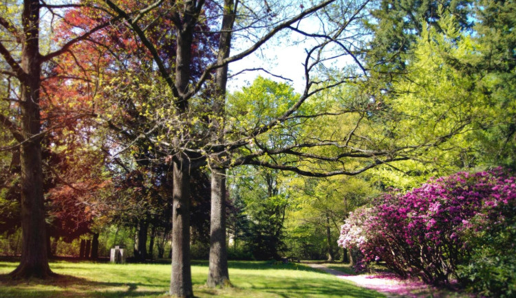 Revitalizaci lázeňského parku v Konstantinových Lázních podpoří Plzeňský kraj