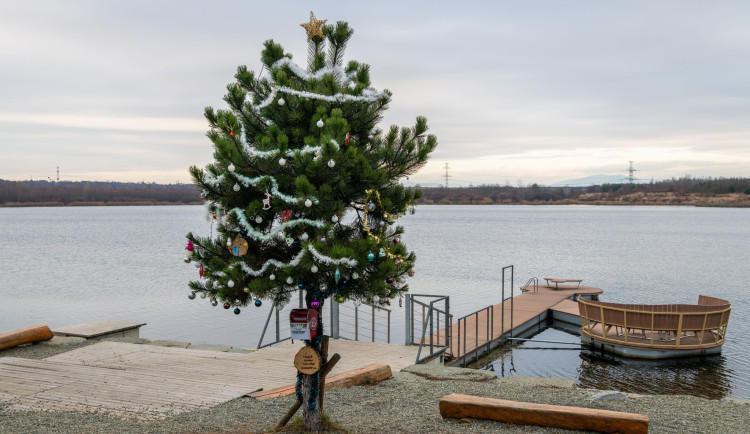 V Karviné se znovu rozsvítí vánoční strom přání, pomůže lidem v tíživé situaci