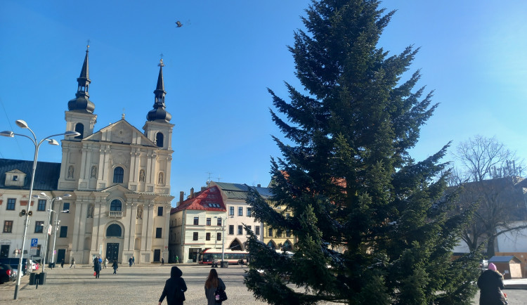 FOTO: Na náměstí v Jihlavě je vánoční strom, svítící ježci na lampách zatím chybí