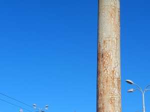 FOTO: Na náměstí v Jihlavě je vánoční strom, svítící ježci na lampách zatím chybí