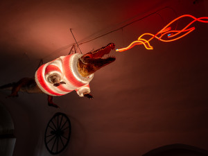 Michal Ruzicka / www.michalruzicka.com