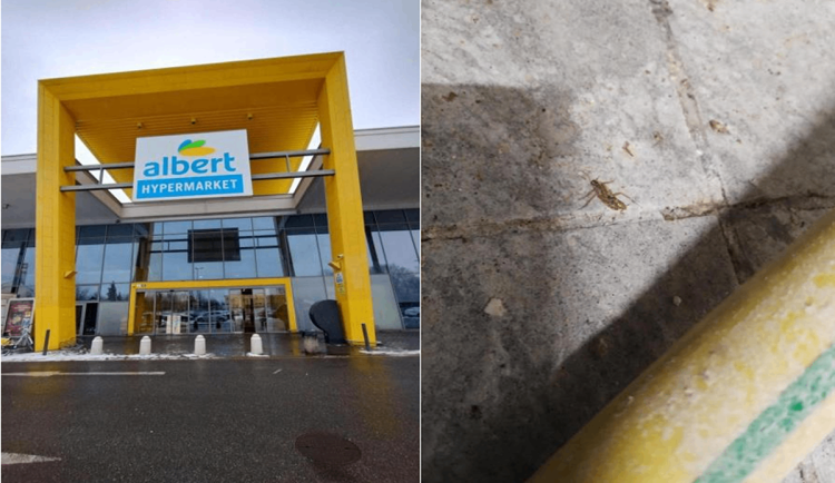 Inspektoři zavřeli pekárnu v brněnském Albertu. Provozovnu v Tkalcovské obýval hmyz