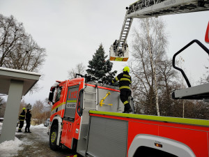 Muž se kolem půlnoci svlékl a vylezl na strom v centru Jihlavy. Pomoci se bránil. Foto: Se svolením ZZS Kraje Vysočina