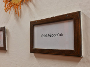 VIDEO: Bufet, fontána, nové toalety? Lidé debatovali o revitalizaci parku v Jihlavě