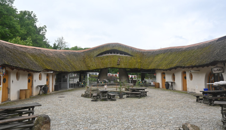 Zoo Jihlava je dočasně uzavřená, u mladých labutí se objevila ptačí chřipka