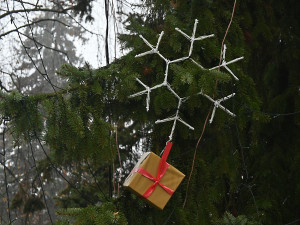 FOTO: Vánoce na jihlavském Paloučku, potěší za světla i po setmění. Podívejte se