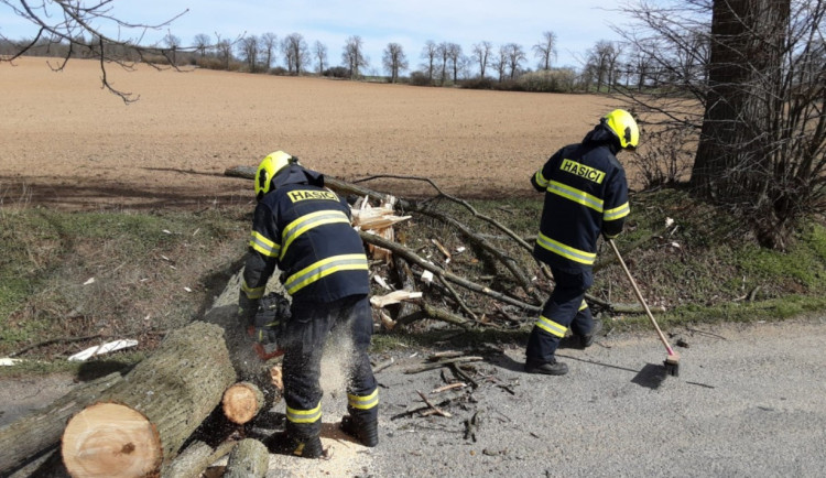 Na silnice Vysočiny v noci padaly stromy a větve. Dva úseky na Třebíčsku jsou uzavřené
