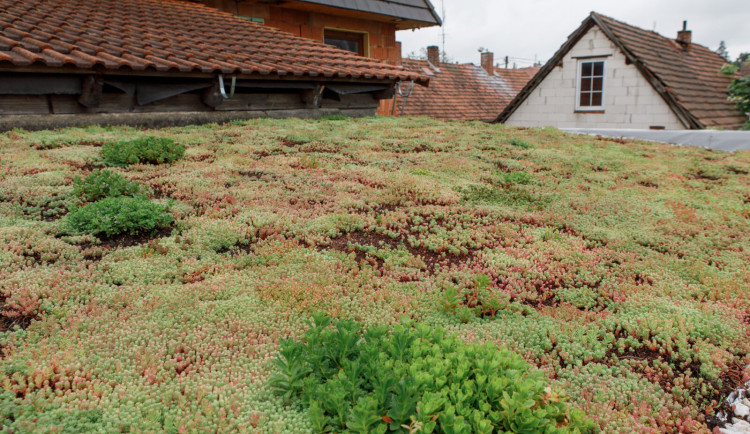 Mateřská škola shání peníze na vybudování zelené střechy, vyjde na 2,5 milionu