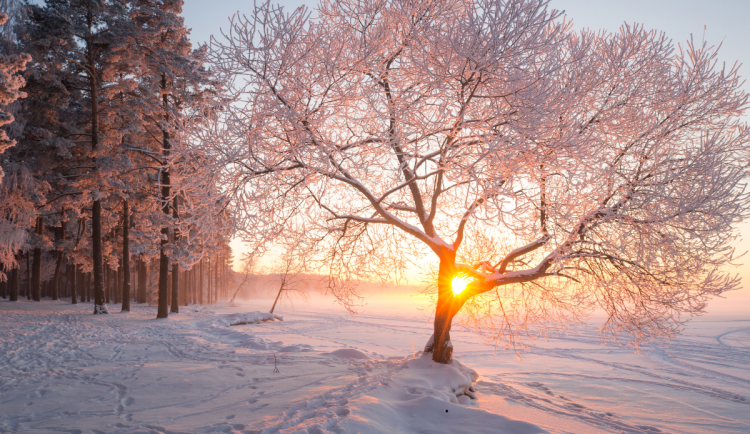 Během víkendu přituhne a teploty budou pod nulou. Přidá se i sněžení, hlavně na horách