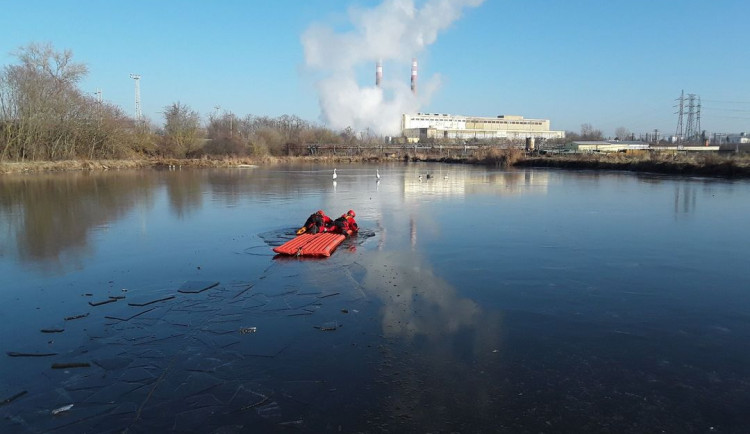 Lidé nahlašují přimrzlé labutě na řekách i rybnících. Opeřenci tam jen odpočívají