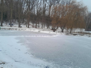 FOTO: Písek na ledě vyvolal v Třešti bouři. Akademie věd po kritice couvla. Foto: Petra Konířová