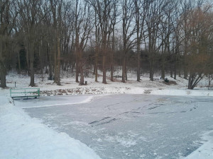 FOTO: Písek na ledě vyvolal v Třešti bouři. Akademie věd po kritice couvla. Foto: Petra Konířová