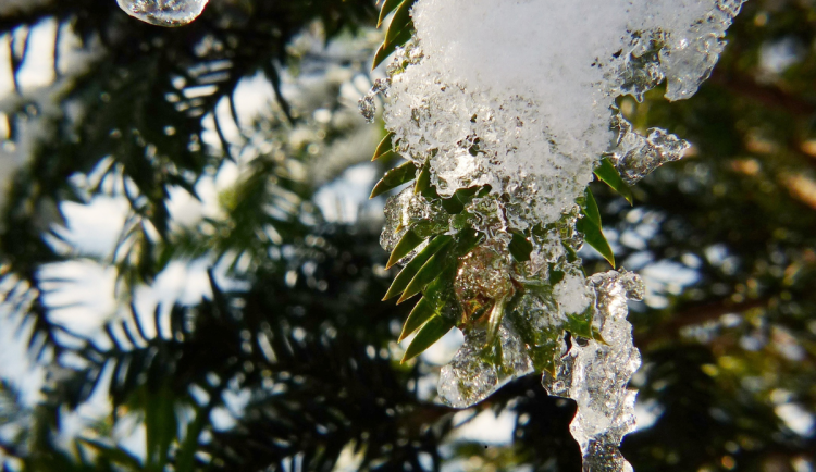 Tento týden se v hradeckém kraji oteplí. Po delší době se rtuť teploměru podívá nad nulu