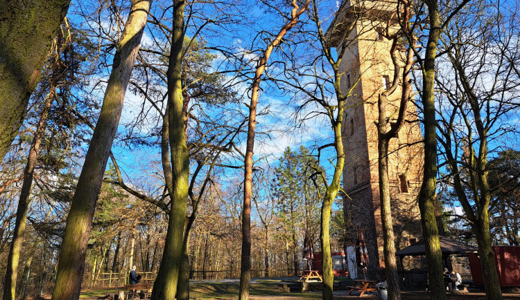 Rozhledna Chlum se vydražila za 4,5 milionu, stojí na pozemcích města