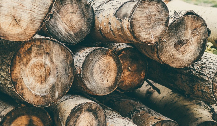 Ilustrační foto. Foto: pixabay.com