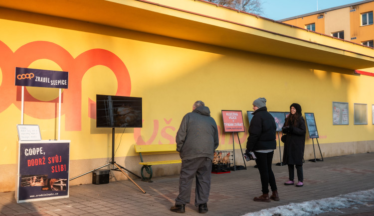 V Jičíně protestovali proti vajíčkům z klecového chovu. Chybí čeští dodavatelé, brání se prodejce