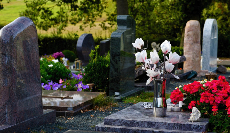 Ilustrační foto. Foto: pixabay.com