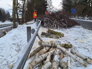 Do terénu s motorovou pilou. ŘSD v zimě prořezává nebezpečné stromy
