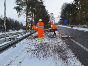 Do terénu s motorovou pilou. ŘSD v zimě prořezává nebezpečné stromy