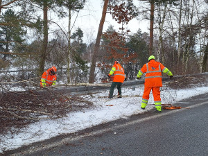 Do terénu s motorovou pilou. ŘSD v zimě prořezává nebezpečné stromy