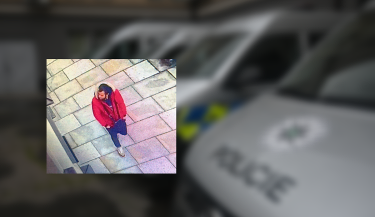 Zloděj v Brodě seniorce vytrhl z ruky peněženku a utekl. Neznáte muže na fotce?