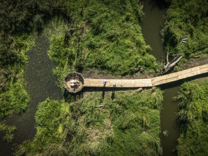 VIDEO: Netradiční teambuilding v Polné. Zaměstnanci vybudovali lávku i s hnízdem