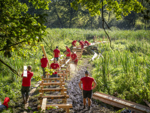 VIDEO: Netradiční teambuilding v Polné. Zaměstnanci vybudovali lávku i s hnízdem