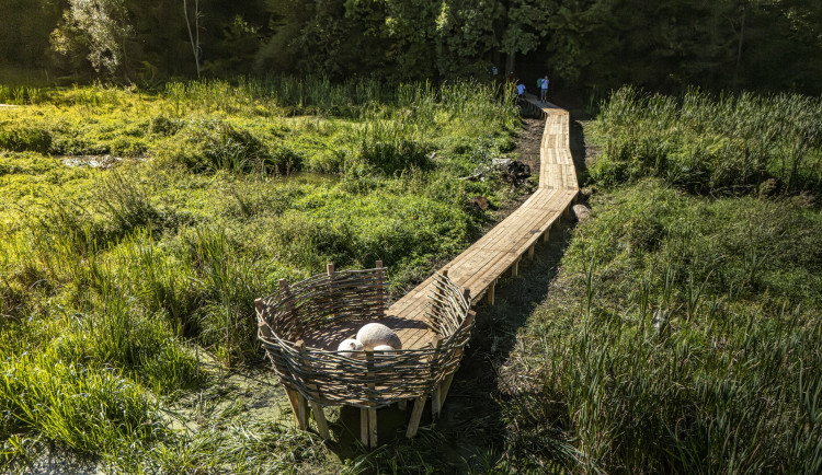 VIDEO: Netradiční teambuilding v Polné. Zaměstnanci vybudovali lávku i s hnízdem