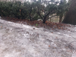 POLITICKÁ KORIDA: Shrnutí zimy. Jak si Jihlava poradila s nedávným sněhem?