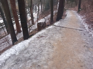 POLITICKÁ KORIDA: Shrnutí zimy. Jak si Jihlava poradila s nedávným sněhem?