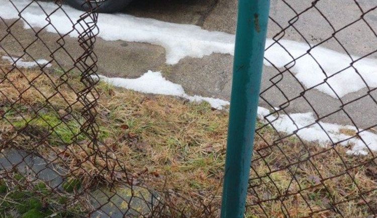 Jeden kradl, druhý čekal v autě. Policisté je dopadli na dálnici. Foto: Se svolením Policie ČR