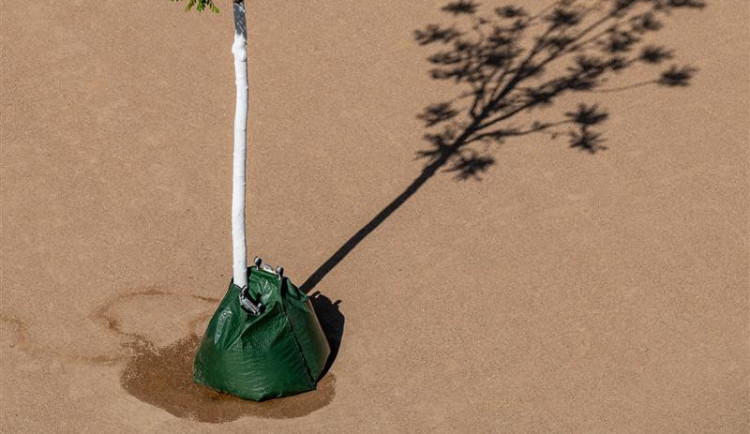 Zavlažovací vak. Foto: Poskytlo město Jihlava