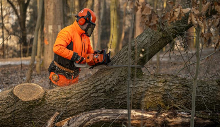 Ilustrační foto. Foto: Poskytlo město Jihlava