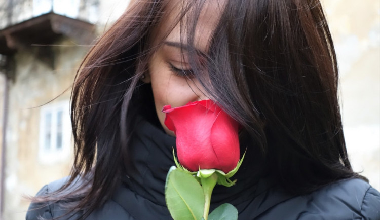 Ilustrační foto. Foto: pixabay.com