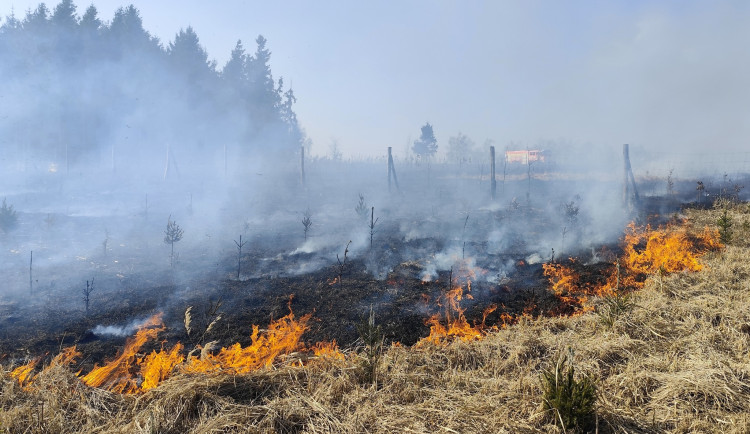 Rozsáhlý požár lesa u Věžničky. Foto: Poskytl JSDH Jihlava