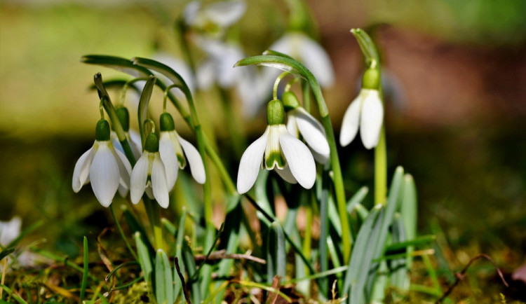 Srážky do úterý, v polovině pracovního týdne přijde oteplení