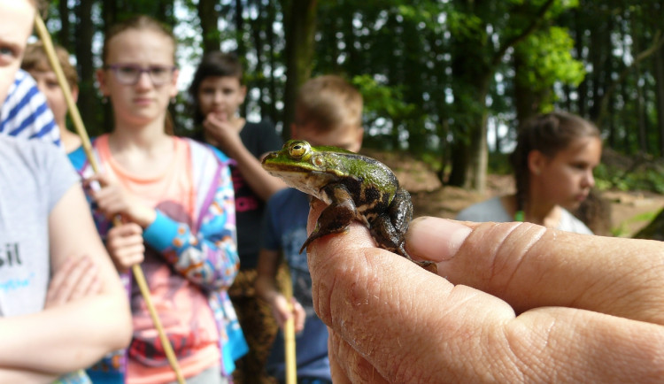 Ilustrační foto. Foto: Mokřady z.s.