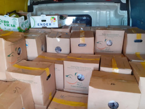 VIDEO: Celníci na Vysočině zadrželi tunu závadného masa. Pár kusů už mělo šedou barvu