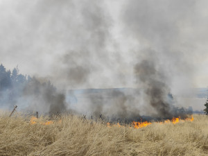 FOTO: U Vyskytné hoří les, hasiči odhadují škodu na pět milionů korun