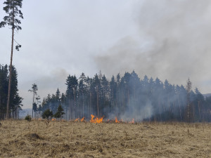 FOTO: U Vyskytné hoří les, hasiči odhadují škodu na pět milionů korun