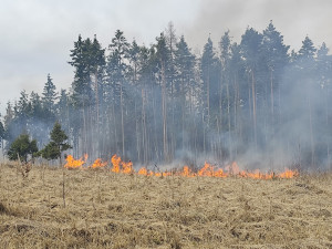 FOTO: U Vyskytné hoří les, hasiči odhadují škodu na pět milionů korun