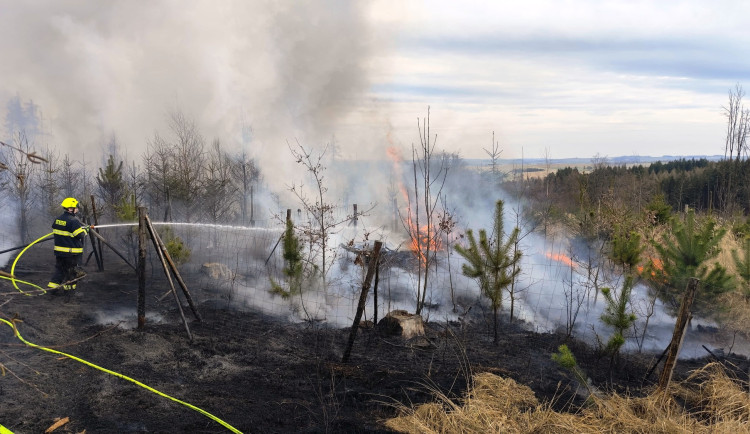 Na Vysočině přibylo požárů v přírodě. Pálení trávy není dovoleno, připomíná hejtman