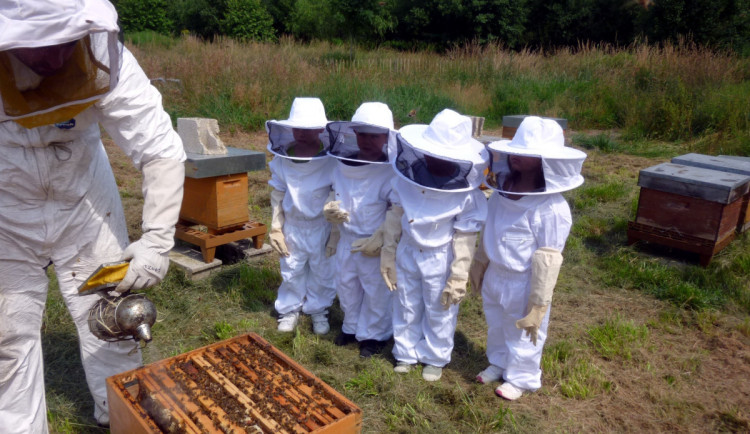 Ilustrační foto. Foto: pxhere.com