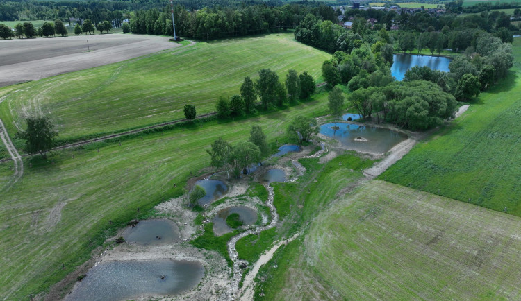 Boj s klimatickou změnou a návrat vody do krajiny. Černovice zvou na exkurzi