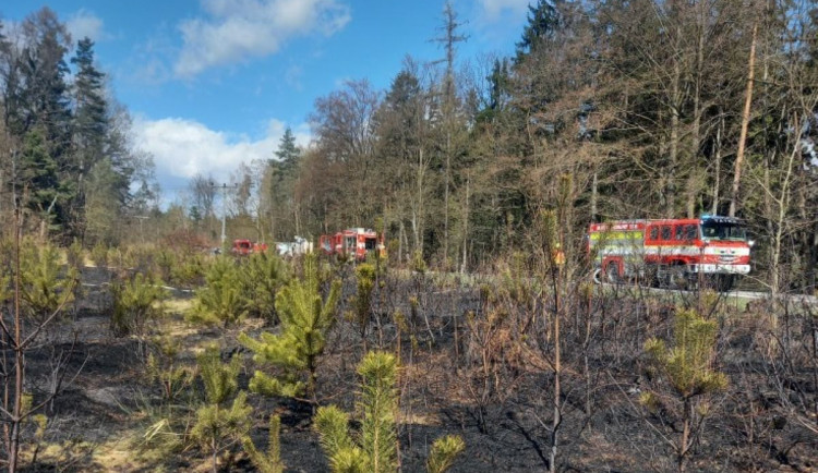 Vítr shodil dráty, plameny ničily les u Choustníkova Hradiště