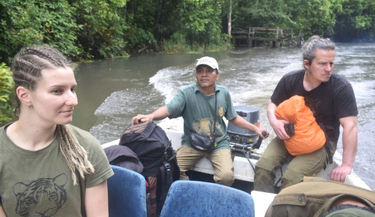 Hodonínští stopovali tygry na Sumatře. Přivezli fotopasti, které odstraší pytláky