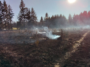 FOTO: Na Žďársku hořelo šest hektarů lesa. Požár zaměstnal 11 jednotek