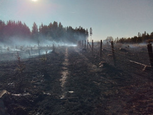 FOTO: Na Žďársku hořelo šest hektarů lesa. Požár zaměstnal 11 jednotek